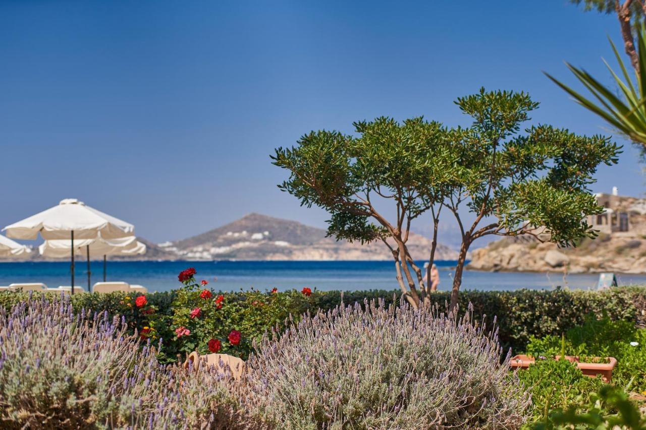 Kalergis Studios Naxos City ภายนอก รูปภาพ