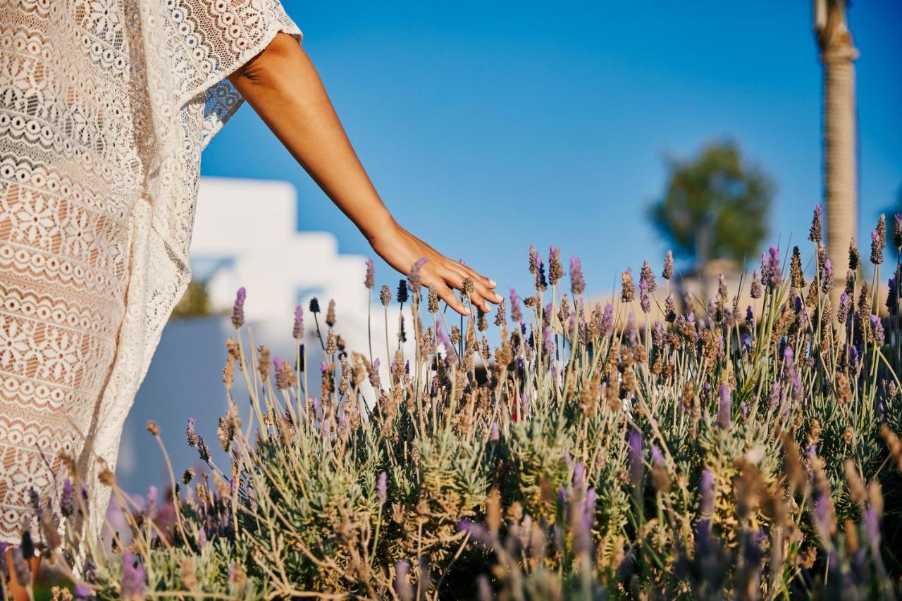 Kalergis Studios Naxos City ภายนอก รูปภาพ